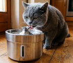 The SippyCat™ - 2L Stainless Fountain 2.0