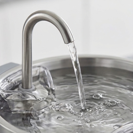 The SippyCat™ - 2.2L Stainless Fountain