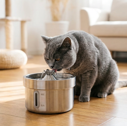 The SippyCat™ - 2L Stainless Fountain 2.0